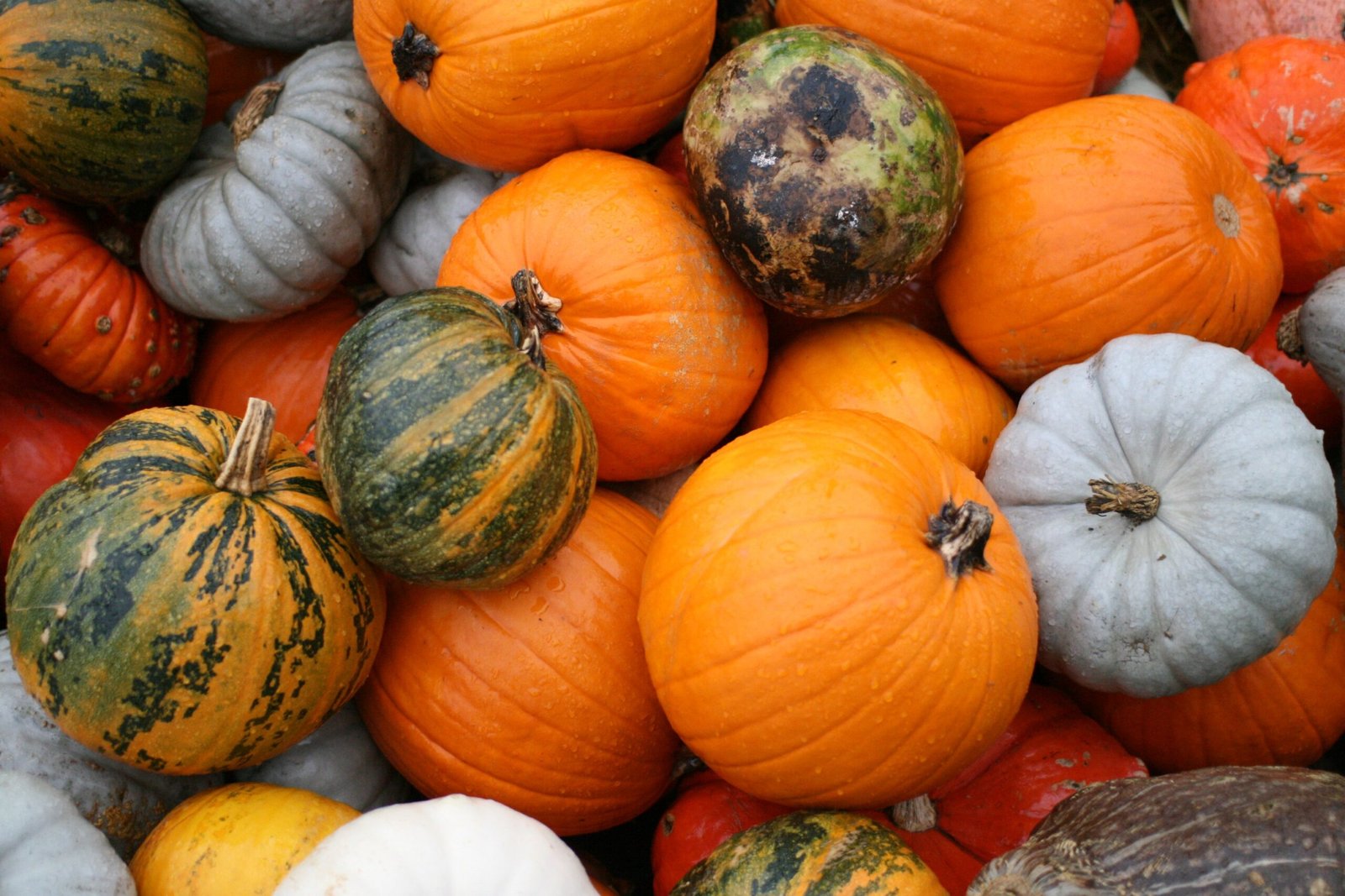 October 5th